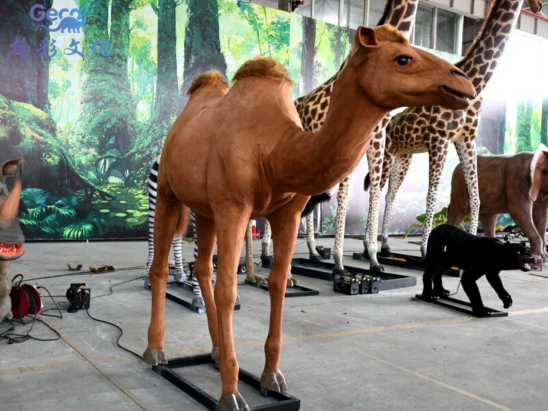 骆驼模型