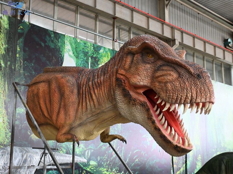 霸王龙龙头模型