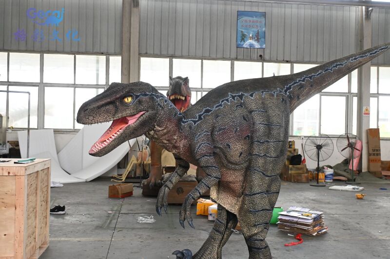 迅猛龙穿戴表演服