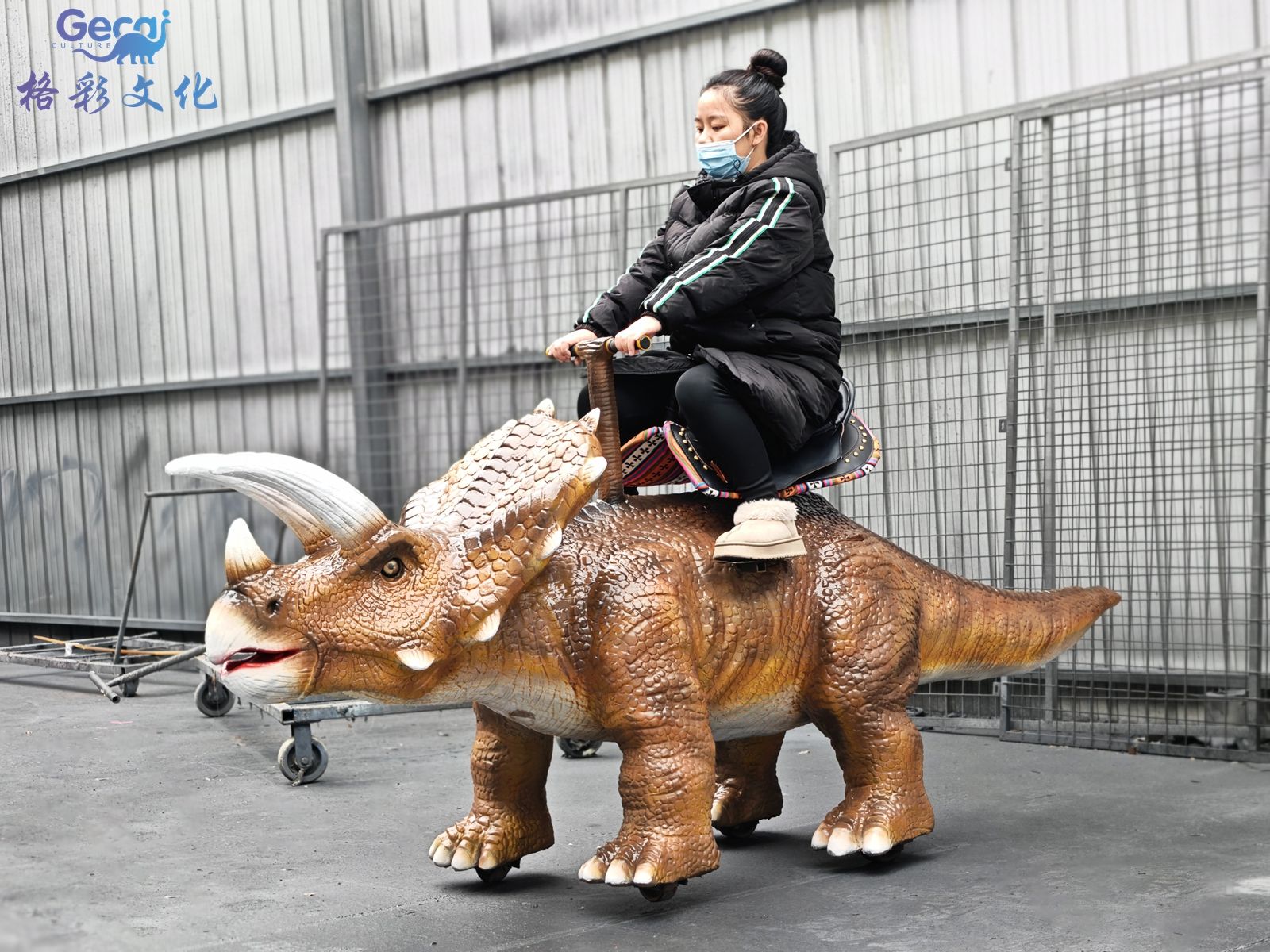 骑乘行走三角龙