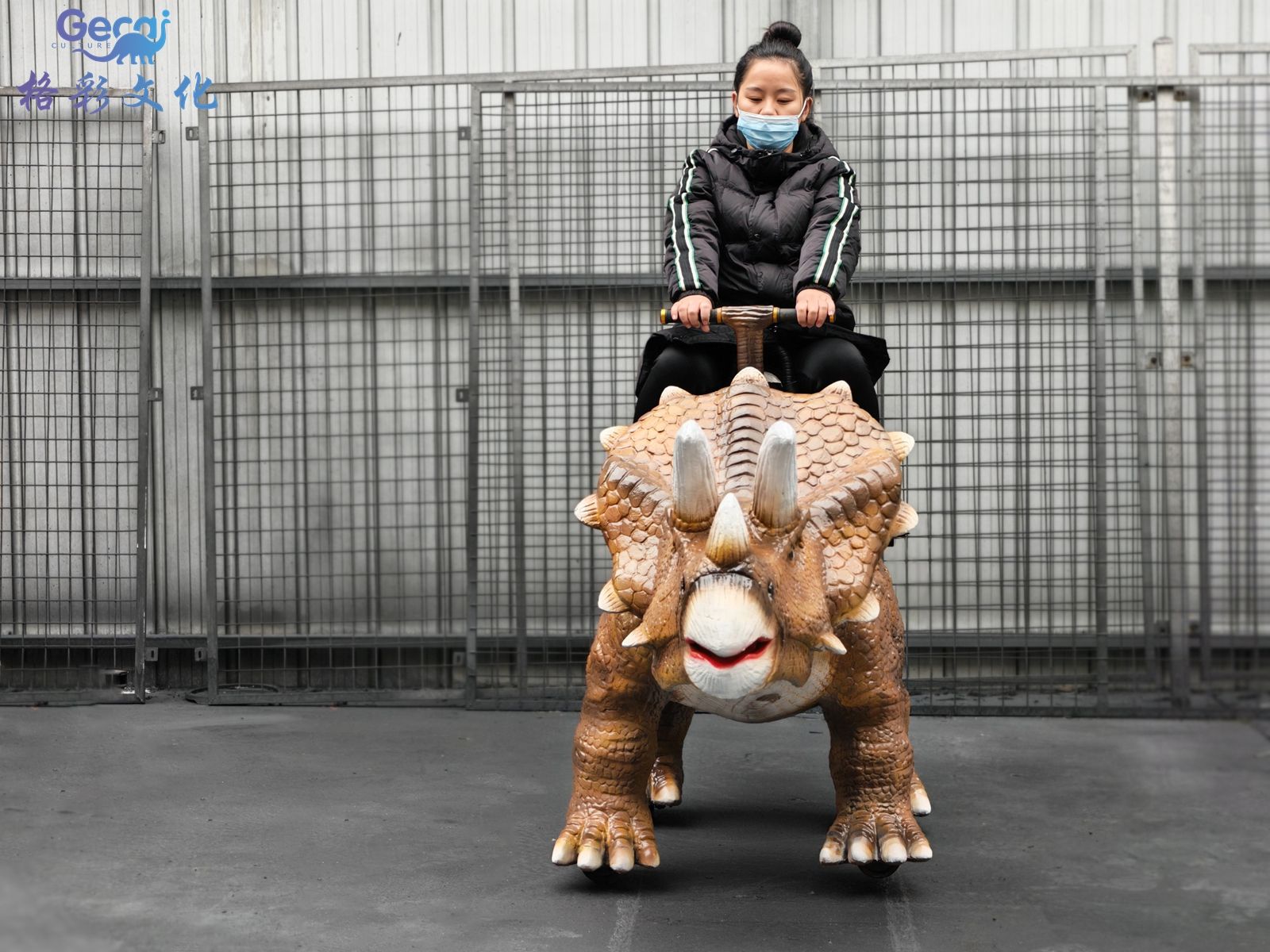 骑乘行走三角龙