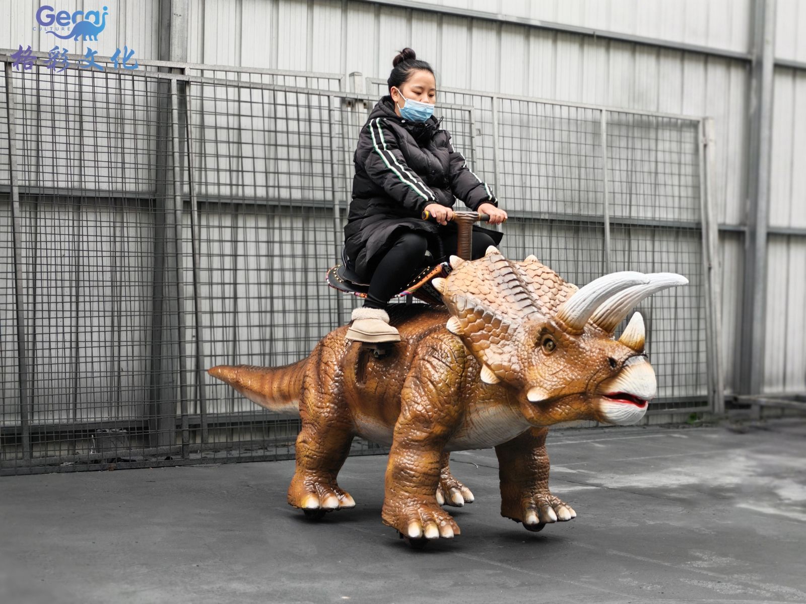 骑乘行走三角龙