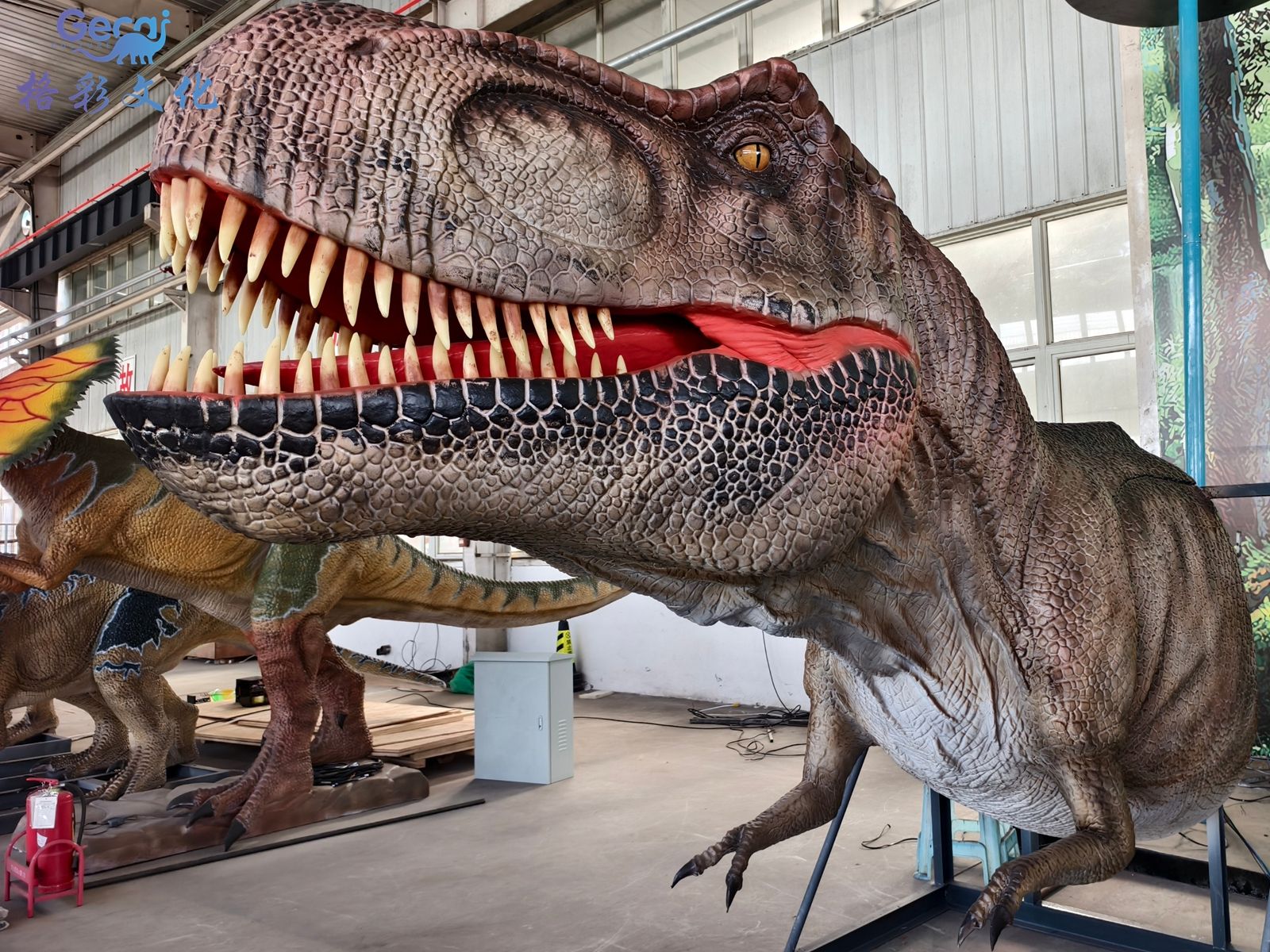 动态霸王龙头模型