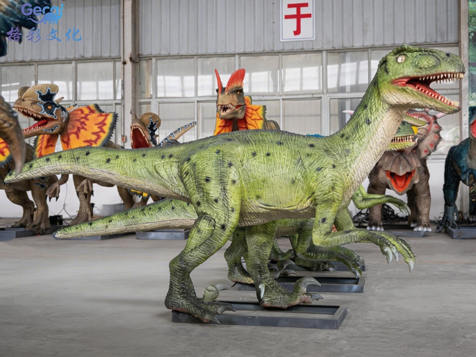 ​迅猛龙群组模型