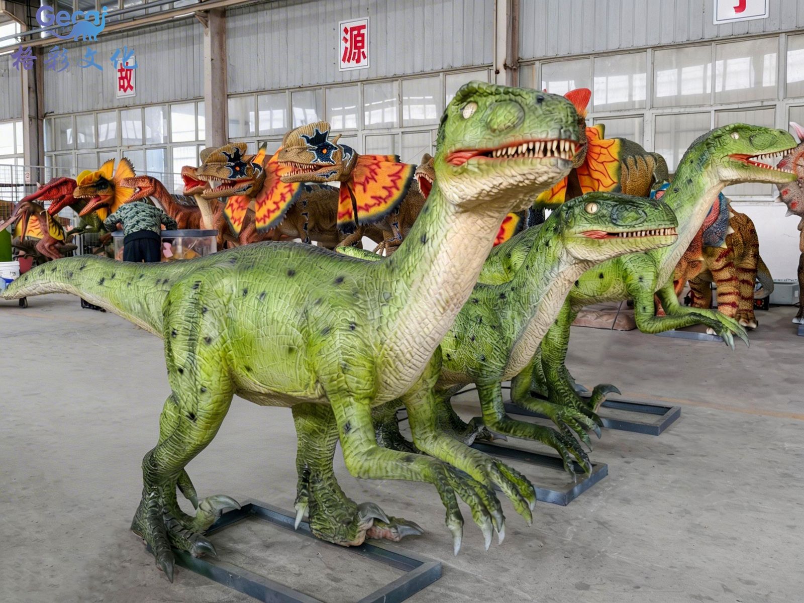 ​迅猛龙群组模型