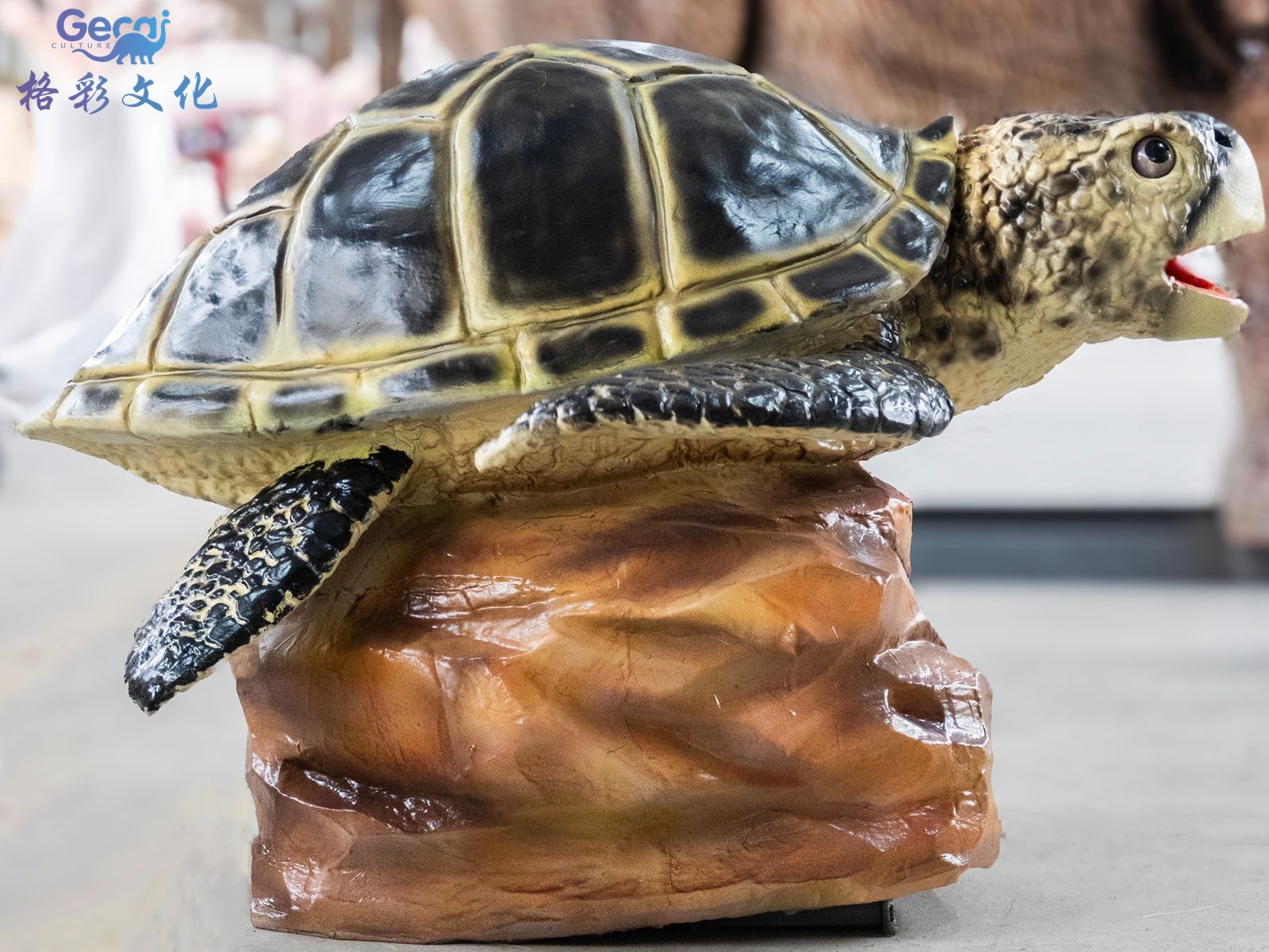 仿真海龟模型